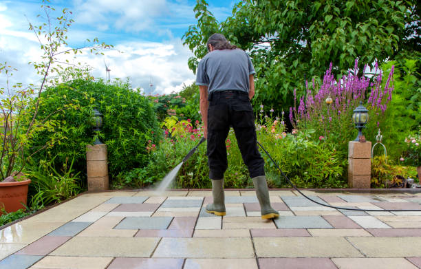 Best Fence Cleaning and Maintenance in Highlands, TX